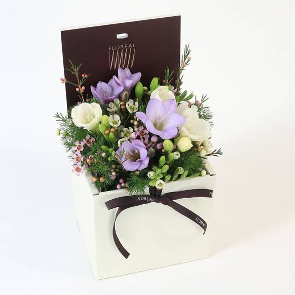 フロレアル：リコメンドシャルマン 900455