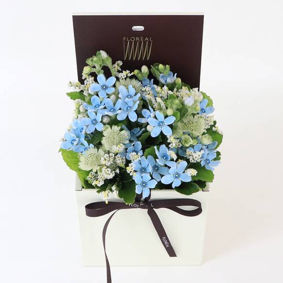 フロレアル：リコメンドシャルマン